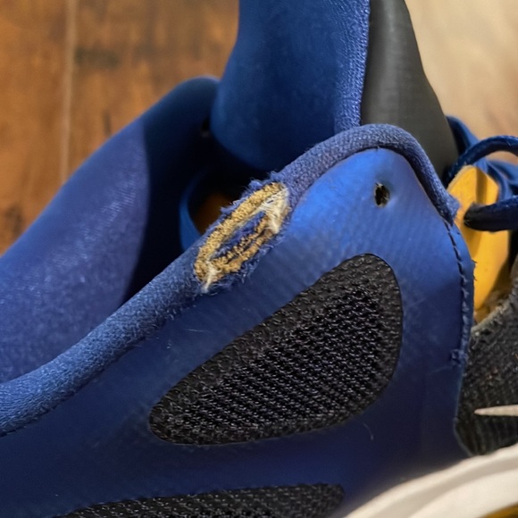 “WORLD BASKETBALL FESTIVAL” Lebron 9 low top NIKE - Picture 6 of 7